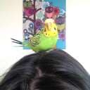 linneals