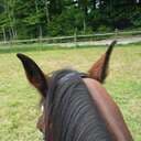 Buben