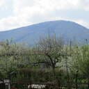 kataka