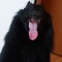 Millazu