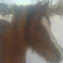 Tiiina.k