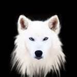 whitewolf95