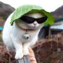 LillaSötaJag