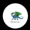 Phantastic_chaos