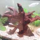 Sofi_79