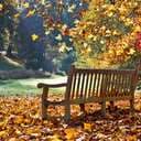 Dezzie75