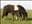 Pia740
