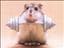 black_rat